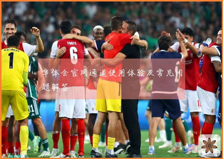 华体会官网通道使用体验及常见问题解答