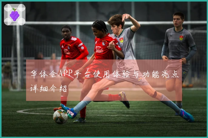 华体会APP平台使用体验与功能亮点详细介绍