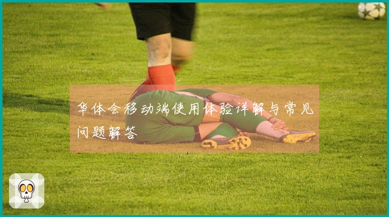 华体会移动端使用体验详解与常见问题解答